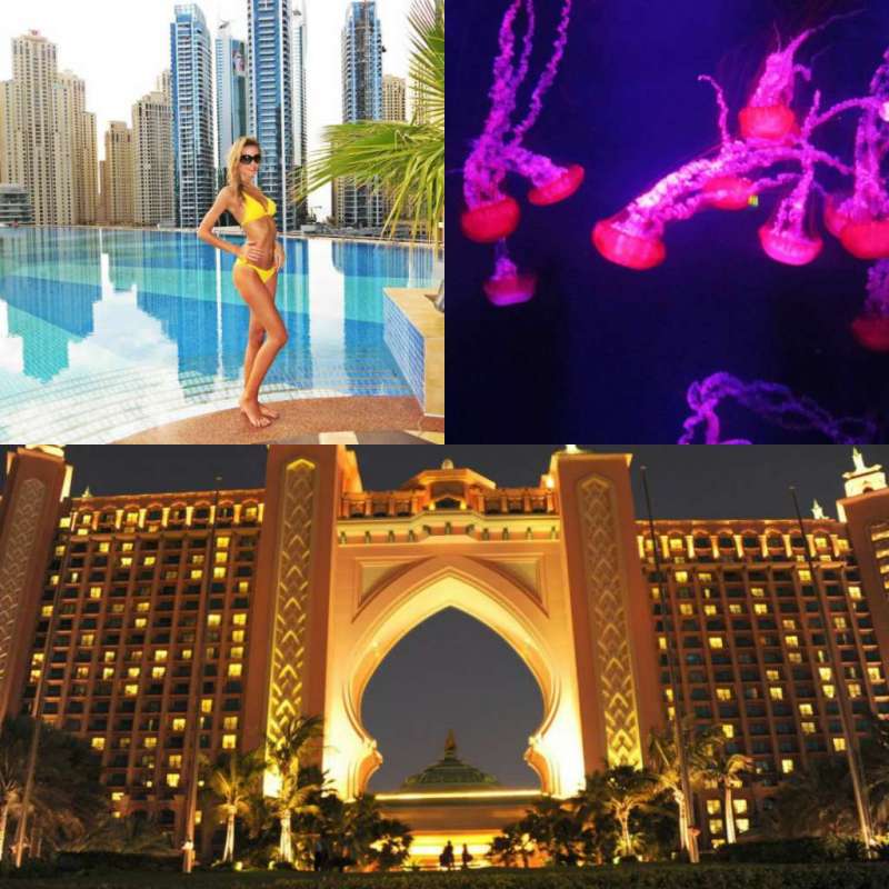 Hotel Atlantis the palm